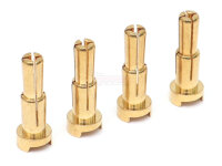 Team Raffee & Co 4/5mm male Bullet Plug Common Fit...