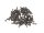 Team Raffee & Co Self-Tapping Screws M1*5 (100) for RC Scaled  Diamond Plate & Fender Black TRC/302750BK