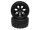 Team Raffee & Co 2 In 1 1/10 Monster Truck Wheel & Tire Set 7 Spoke Patter B TRC/110622503+26206