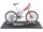 Team Raffee & Co Scale Accessories - 1/10 Mountain Bike D BRSCAC209