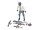 Team Raffee & Co Scale Accessories -  Scale Figure H BRSCAC279